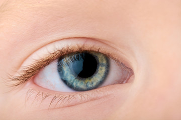 eye close-up with protein and in color