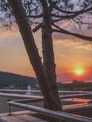 Red Sky