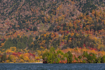 Obraz premium Autumn forest landscape and lake