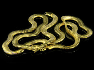 Jewelry chain. Stainless steel.