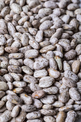 close up of different cereals. beans