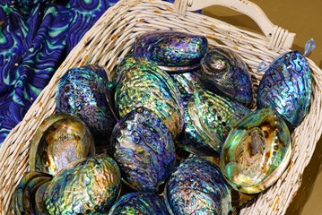 A basket of blue and green mother-of-pearl abalone paua shell in New Zealand