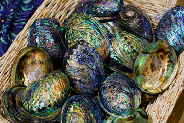 A basket of blue and green mother-of-pearl abalone paua shell in New Zealand