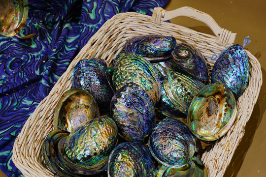 A basket of blue and green mother-of-pearl abalone paua shell in New Zealand