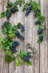 Blue grapes bunches with plant leaves. Top view, close up on wooden vintage background nd acorkscrew in the form of key