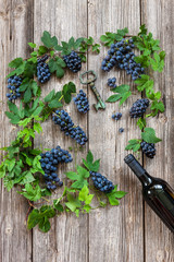 Blue grapes bunches with plant leaves, bottle of red wine and corkscrew in the form of key. Top view, close up on wooden vintage background