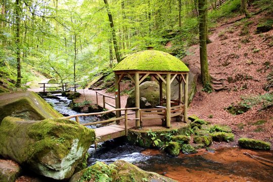 Karlstalschlucht im Pf&auml;lzerwald