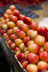 Piles of Rainier Cherries in a Produce Market