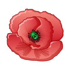 Opium flower icon. Cartoon of opium flower vector icon for web design isolated on white background