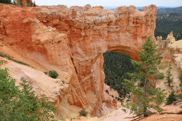 Bryce National Park Arch