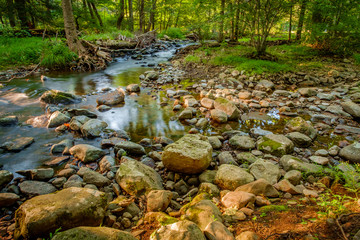 Stream Frozen Action