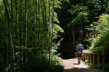 young woman hiking in the woods along the nakasendo trail