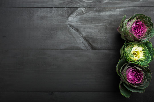 White and purple decorative cabbage, fresh autumn vegetables on black textured wood background. Top view, space for writing
