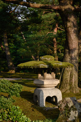 japanese garden