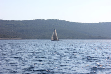 Sailboat In Blue Water