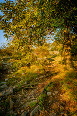Hills Mountain Trail