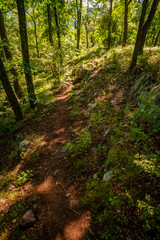 Obraz premium Hills Mountain Trail