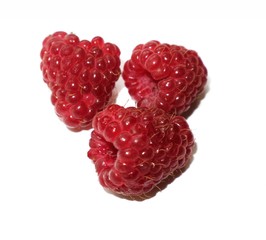 Raspberry large berries isolated on white background.