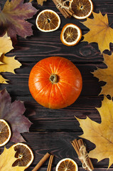 Orange pumpkin, cinnamon, slices of dried orange, autumn colorful leaves and checkered plaid on a dark wooden background top view with space for text. Autumn Pumpkin Thanksgiving Background.