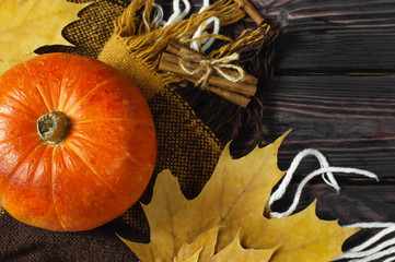 Orange pumpkin, autumn colorful leaves and checkered plaid on a dark wooden background top view with space for text. Autumn Pumpkin Thanksgiving Background.