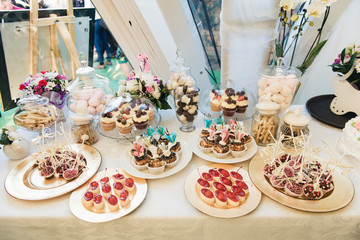 Candy bar. Table with sweets at the wedding (cupcakes, cakes, marshmallows)