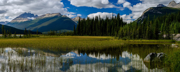 placid pond, jasper national park, canada