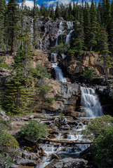 Fototapeta na wymiar tangle creek falls, jasper national park