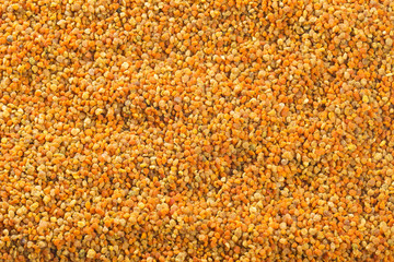 Honey bee pollen - Top view