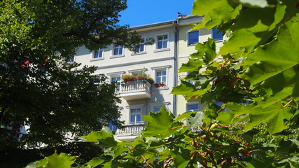 Grünes Berlin: Altbaufassaden in Mitte, Straßenbäume