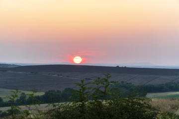 Rural sunset 