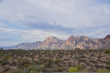 A landscape view of Red Rock Canyon