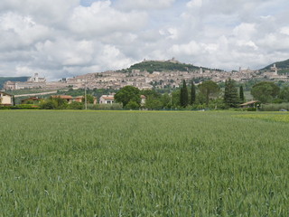 panorama di Assisi da Santa Maria degli Angeli