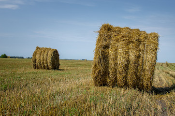 A straw bale close-up for an animal. Procurement of products for the winter for livestock