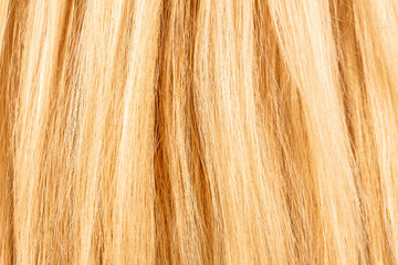 blond blonde hair