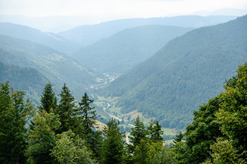 Fototapeta na wymiar Aussicht vom Feldberg, Schwarzwald, Deutschland