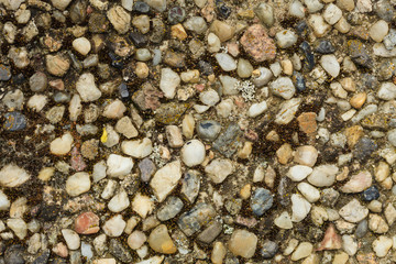 Small, colorful rocks and stones pattern.