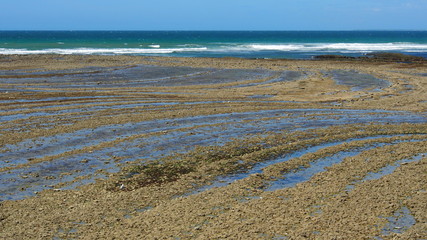 Frankreich: Muschelbänke am Atlantik