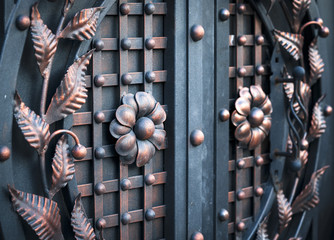 Details, structure and ornaments of forged iron gate.