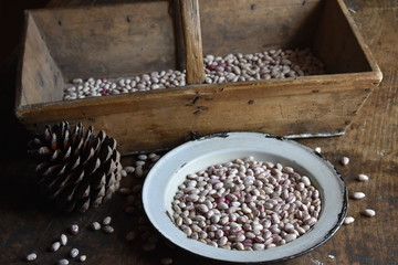 Cesta y plato antiguos con judias, piña de pino