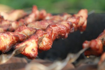 Chicken skewers. Shish kebab preparation for coal