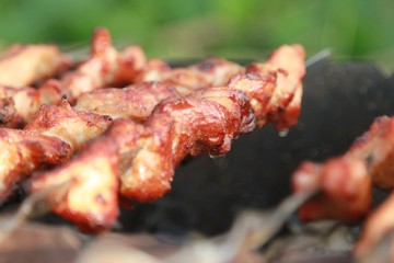 Chicken skewers. Shish kebab preparation for coal