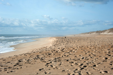 beach shoreline open