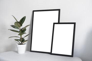Posters in black frame in white stylish modern interior, ficus, living room. Design template mockup.