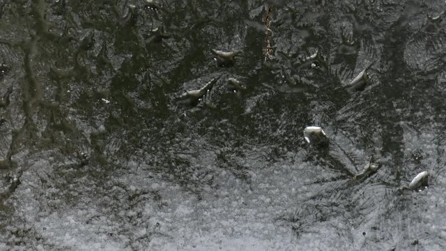 Moisture on windowpane freezes into beautiful frost pattern.
