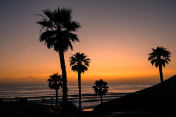 Obraz na płótnie Canvas After Sunset with the Palm Trees