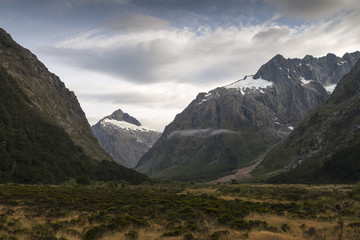 Rural NZ Scene with Mountains