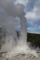 Lady Knox Geyser, NZ