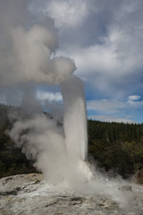 Lady Knox Geyser, NZ