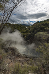 Mud Pools, Waiotapu, NZ