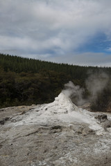 Mud Pools, Waiotapu, NZ